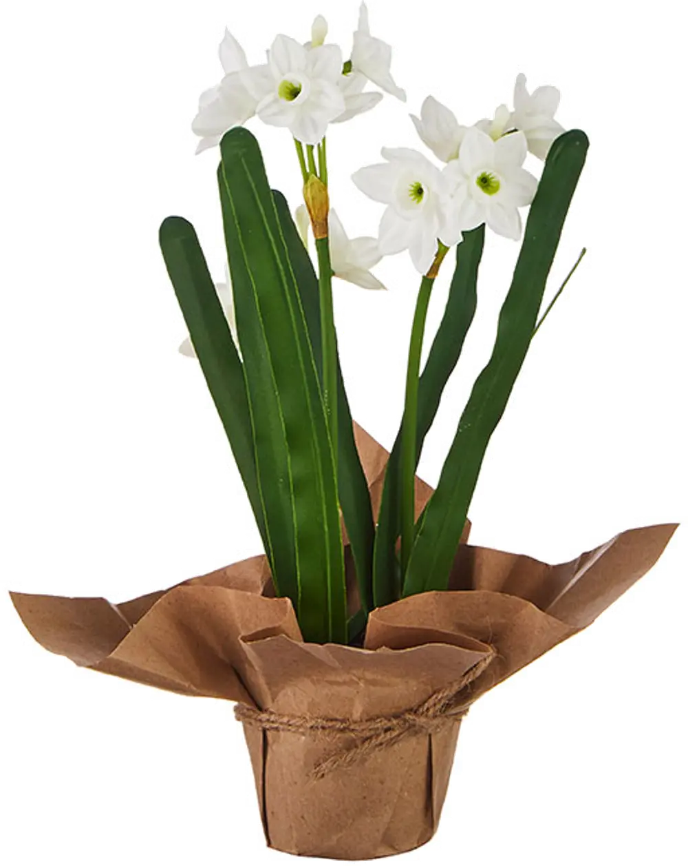 10 Inch Real Touch Potted Faux Paperwhites Arrangement-1
