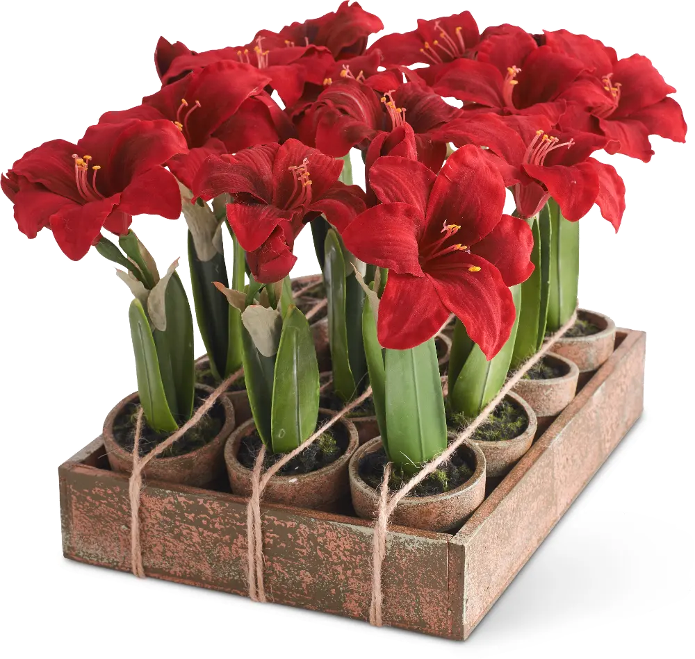 Assorted Red Amaryllis Potted Faux Plant Arrangement-1
