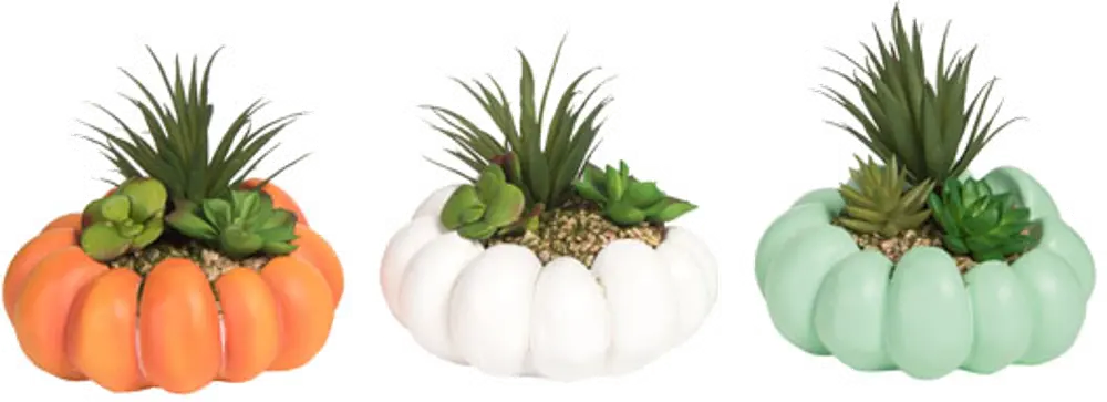 Assorted Resin Pumpkin with Faux Succulents-1