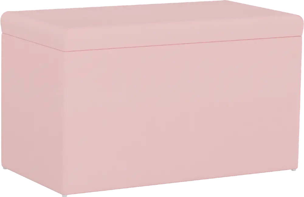 4325STDCKLGHPNK Contemporary Light Pink Storage Bench-1
