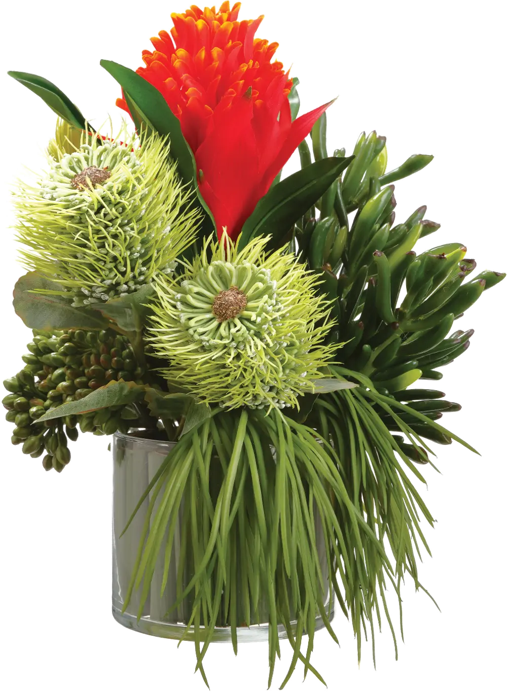 Red and Green Bromeliad, Succulent and Grass in Glass Vase-1