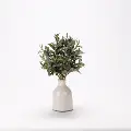 Faux Olive Spray in White Ceramic Bottle Vase