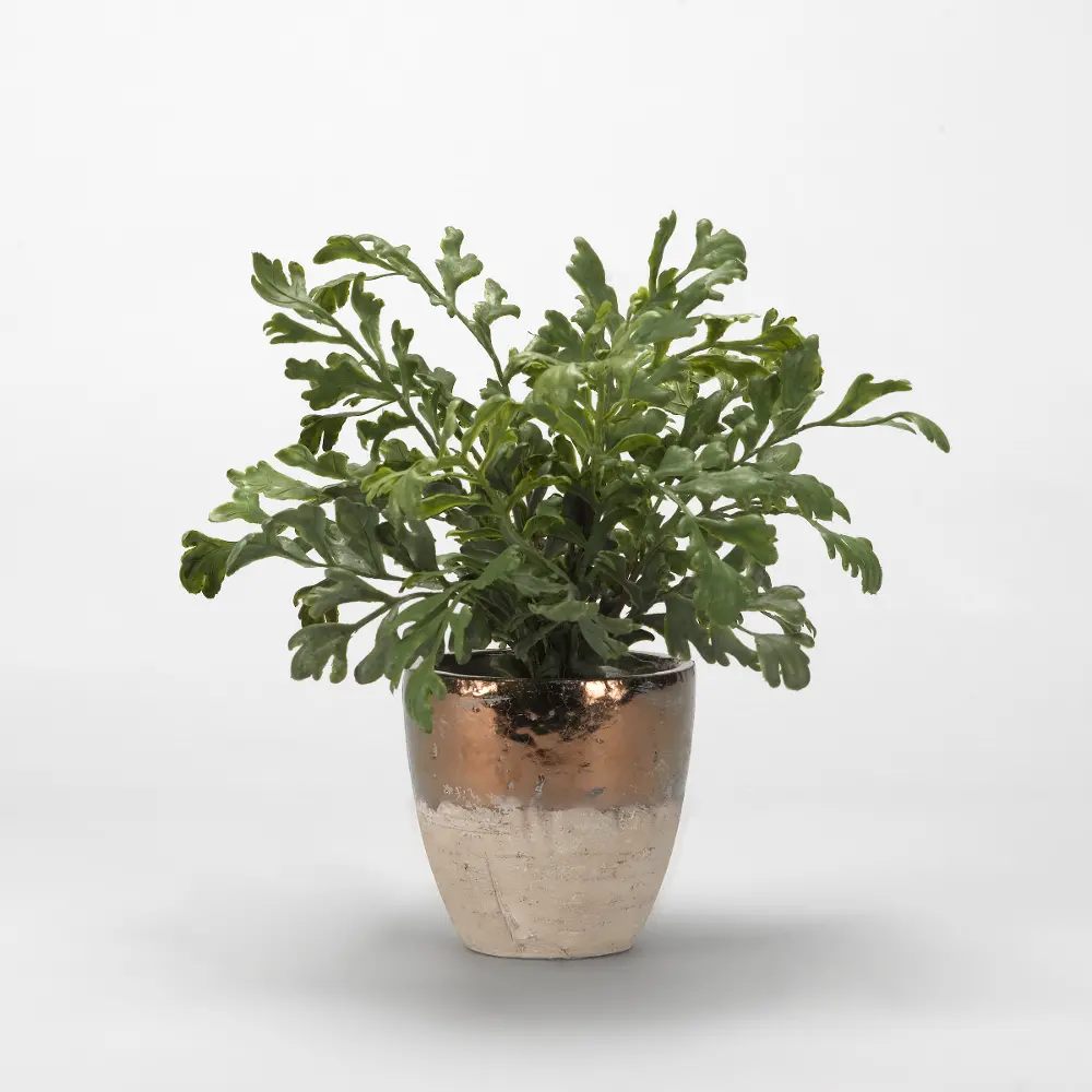 Faux Green Hare's Foot Fern in Rustic Ceramic Planter-1
