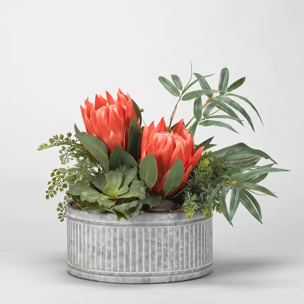 King Protesa with Succulents and Foliage Arrangement in Tin Planter-1