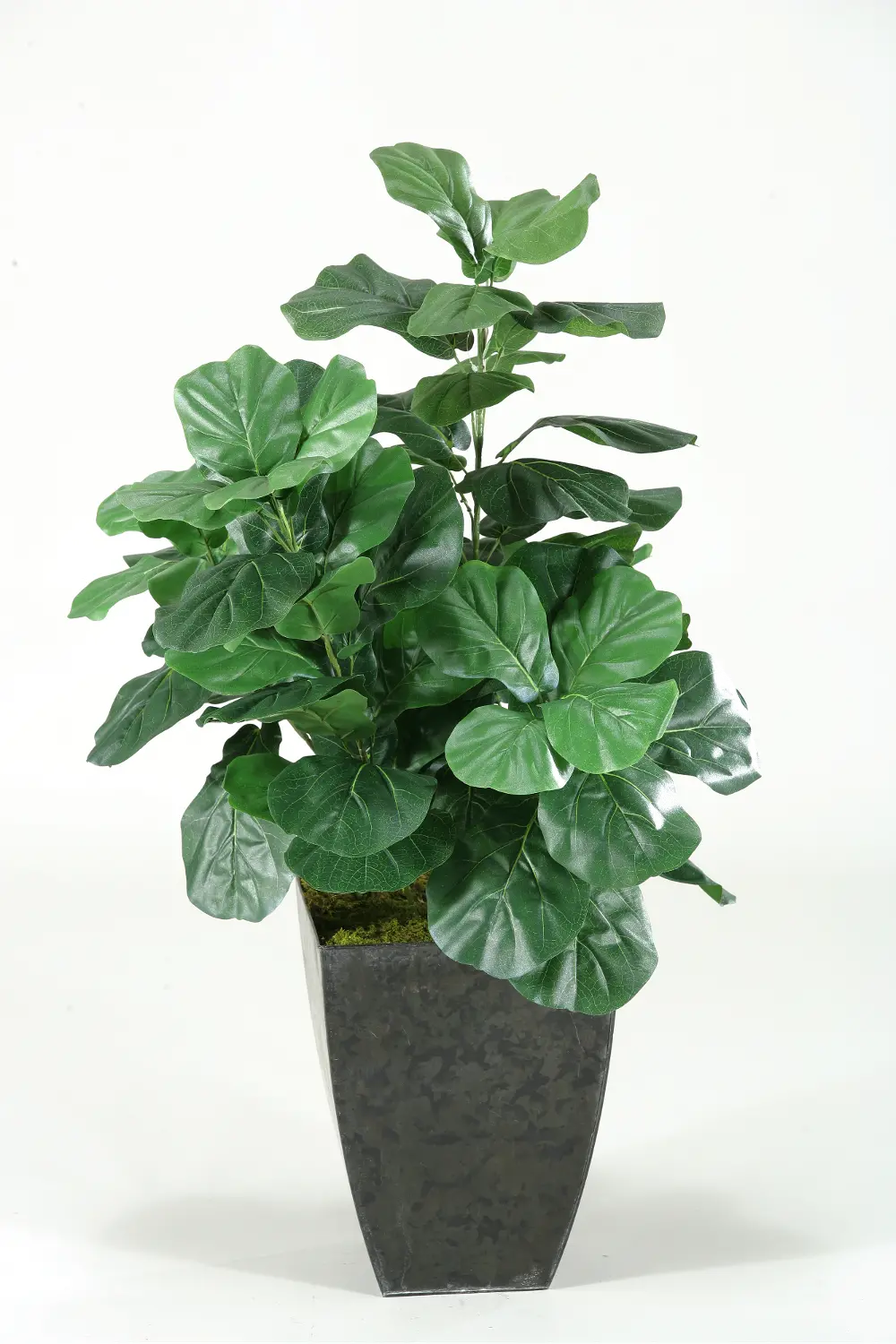 Faux Green Fiddle Leaf Fig in Ceramic Planter-1