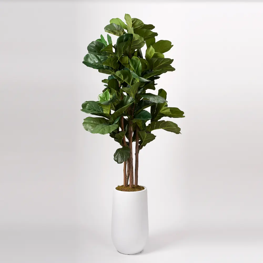 Faux Green Brazilian Fiddle Leaf Fig Tree Arrangement in White Planter-1