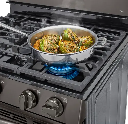 https://static.rcwilley.com/products/112020800/LG-5.8-cu-ft-Gas-Range---Black-Stainless-Steel-rcwilley-image7~500.webp?r=15