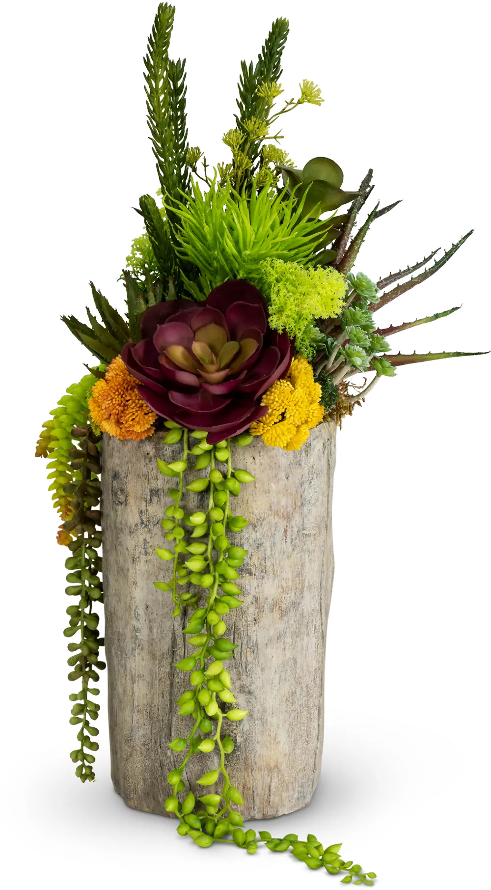 Multi Color Tree Trunk Succulent Arrangement-1