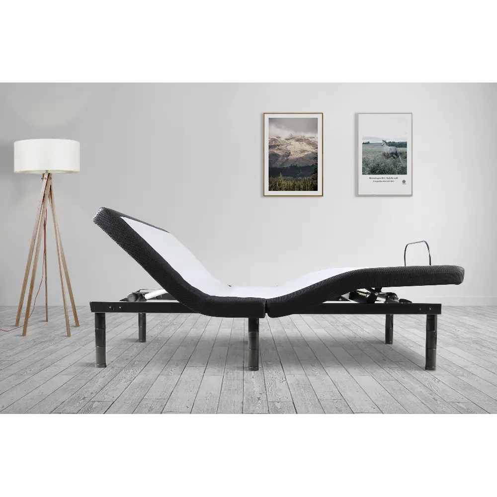 MotoSleep XSF200 Split King Adjustable Base RC Willey