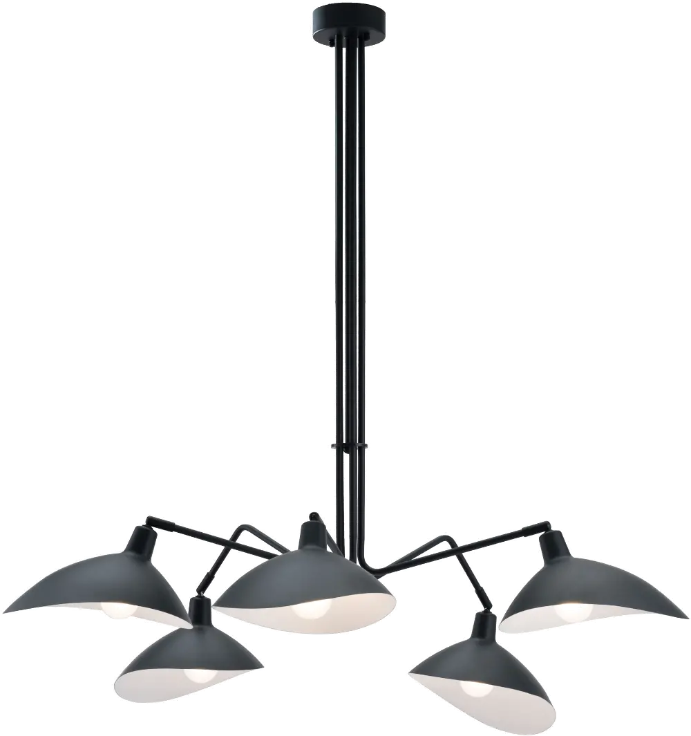 Modern Black Ceiling Lamp - Desden-1