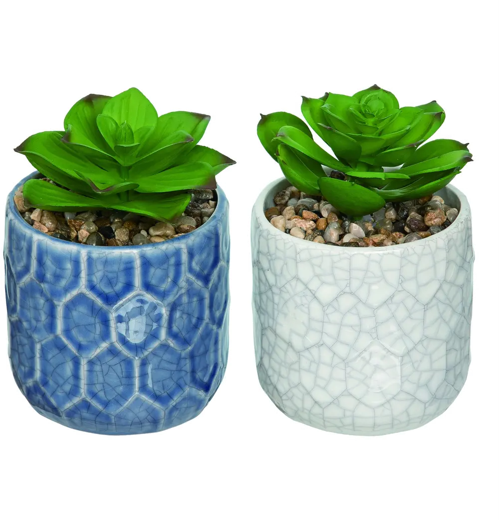 Assorted Faux Succulent Arrangement in Blue or White Ceramic Pot-1
