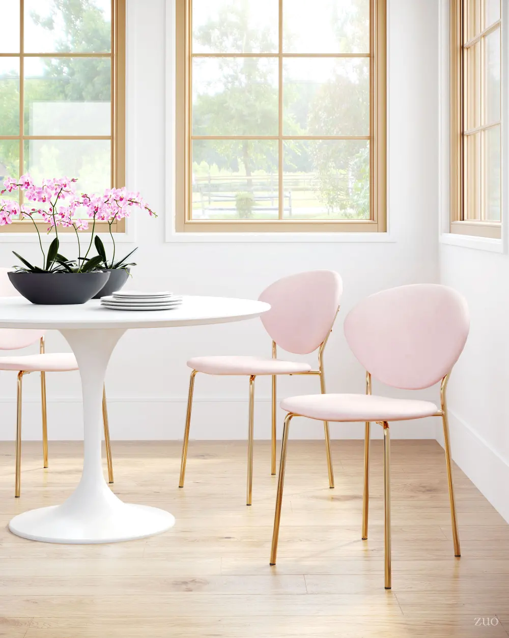 Pink and Gold Dining Room Chair (Set of 2) - Clyde-1