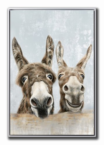 The Donkeys Hand Embellished Canvas Wall Art in Floater Frame | RC Willey