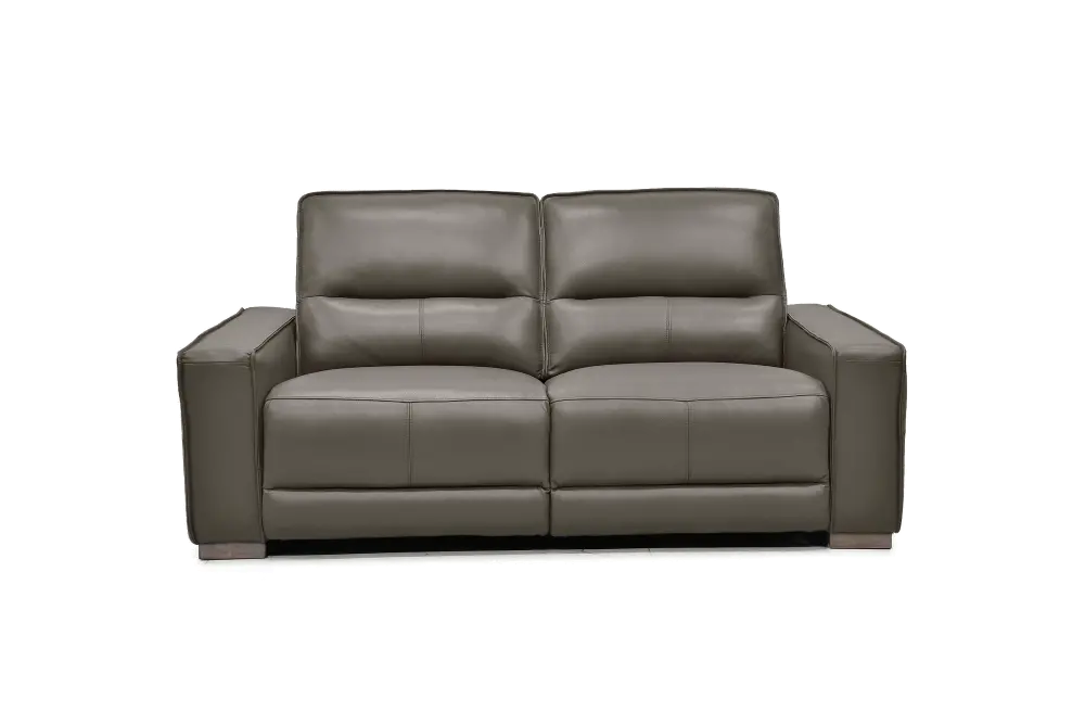 Jet Mink Brown Leather Power Reclining Loveseat-1