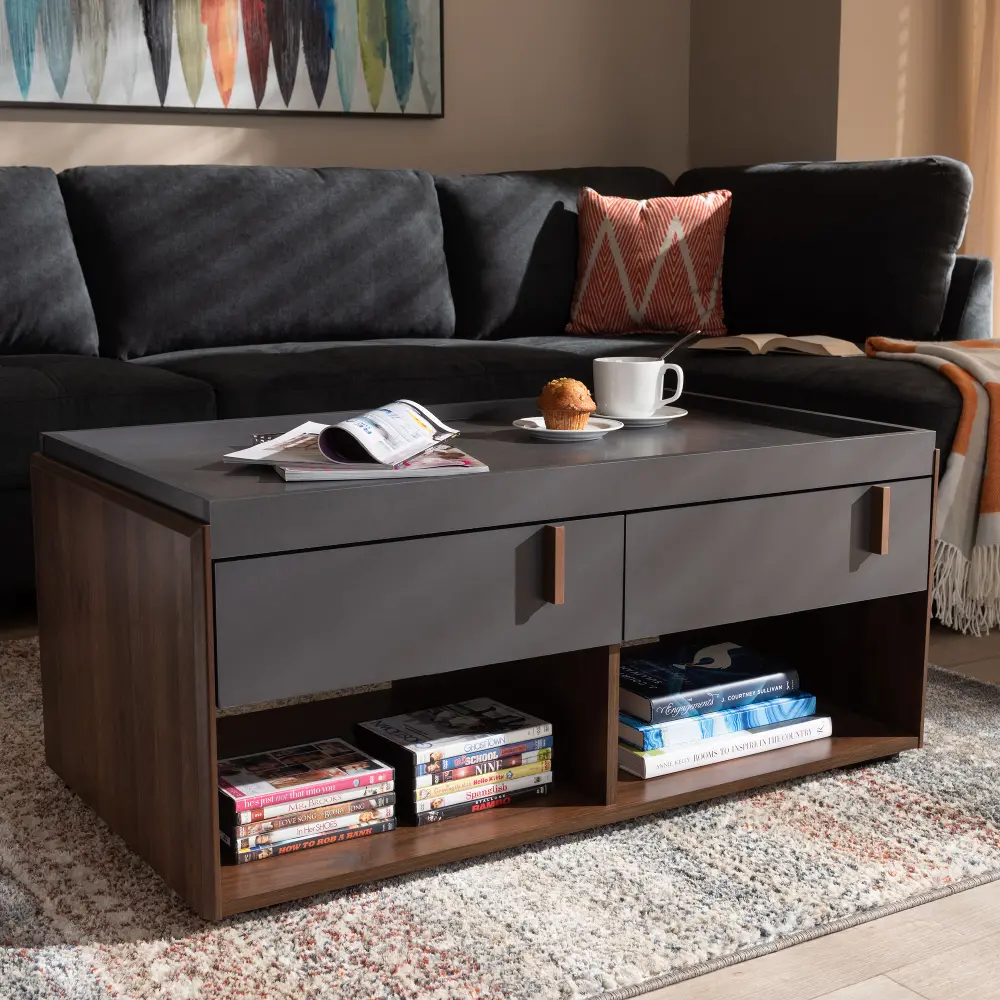 152-9153-RCW Contemporary Gray and Walnut Finished Wood 2-Drawer Coffee Table - Scottie-1