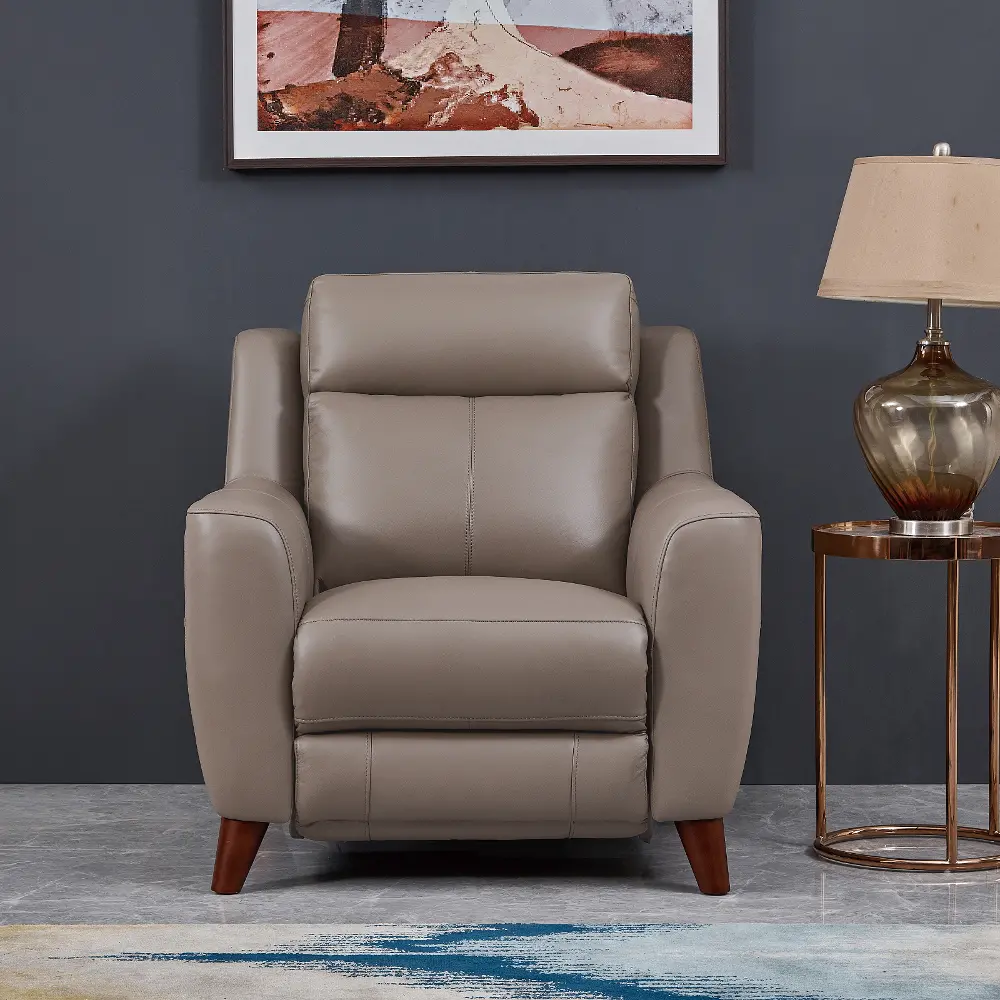 Fresno Contemporary Taupe Leather Power Reclining Chair-1