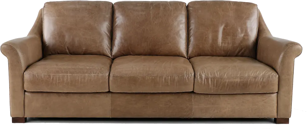Tex Taupe Leather Sofa-1