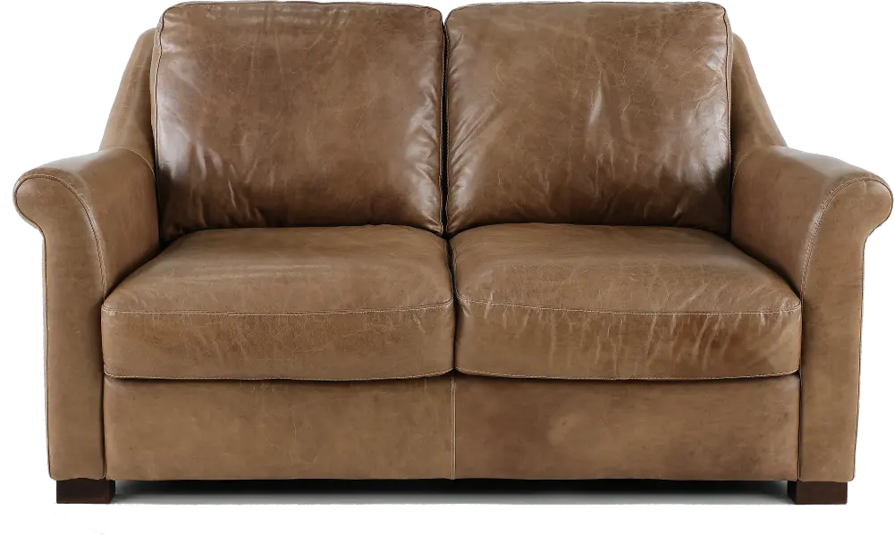 Tex Taupe Leather Loveseat-1