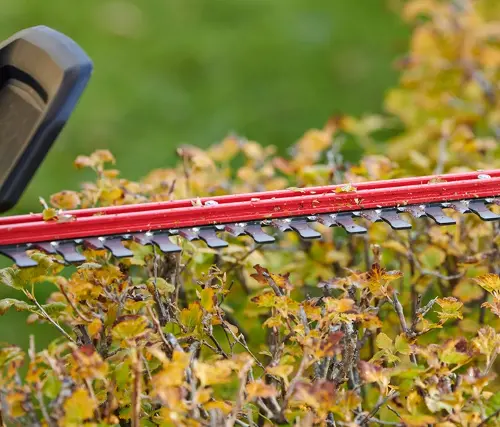 Craftsman 60 volt hedge trimmer hot sale