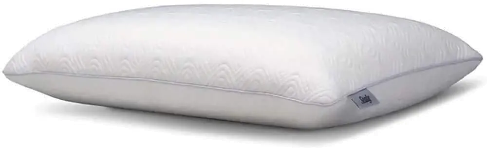 15331115 Sealy Conform Memory Foam Standard Size Pillow-1