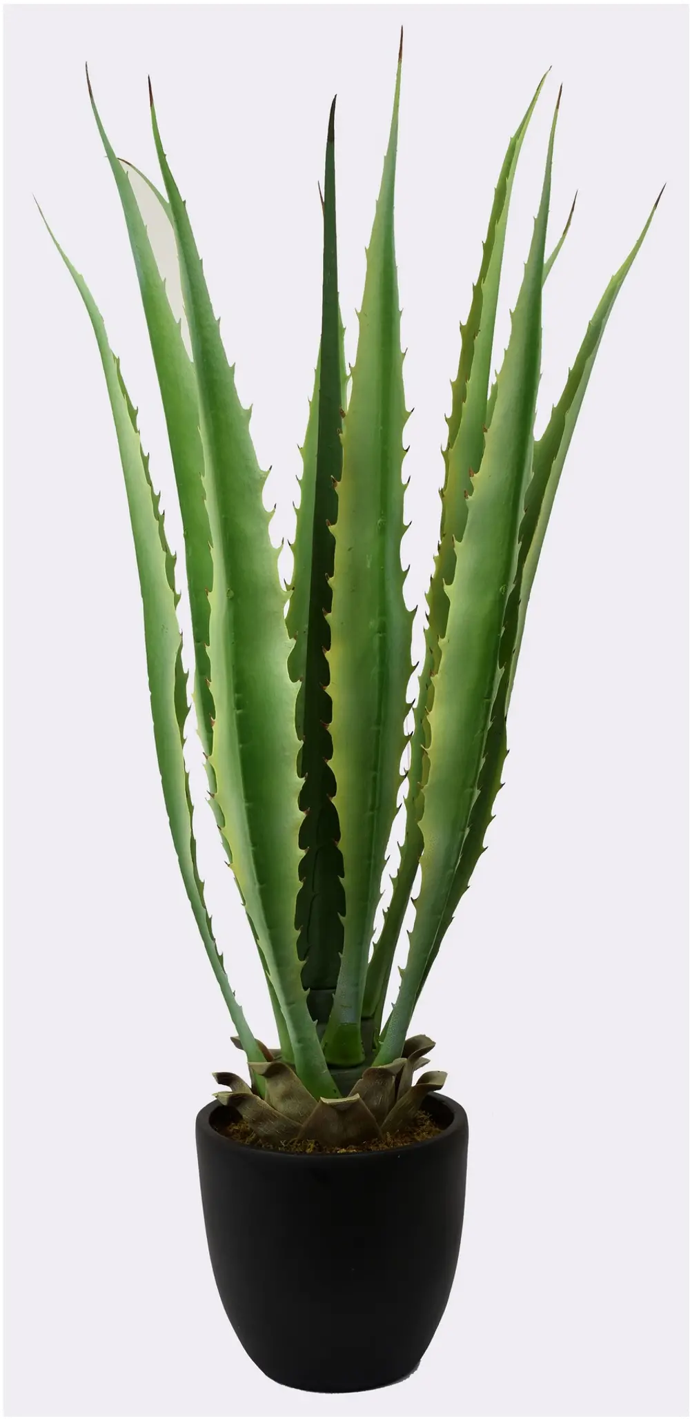 Artificial Green Agave Plant Arrangement in Black Planter-1