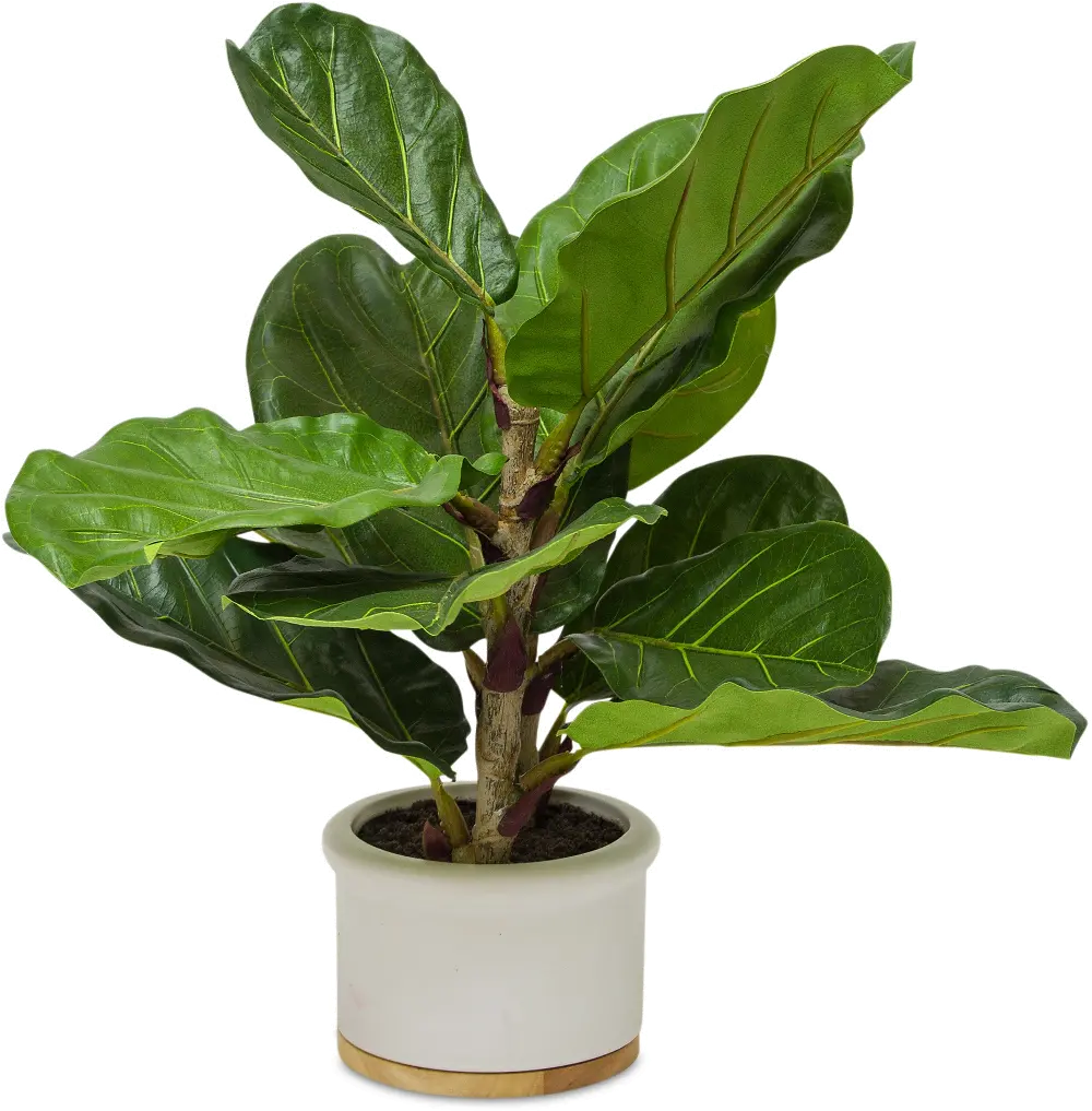 18  Potted Faux Fiddle Leaf Fig Arrangement - Dumpling-1