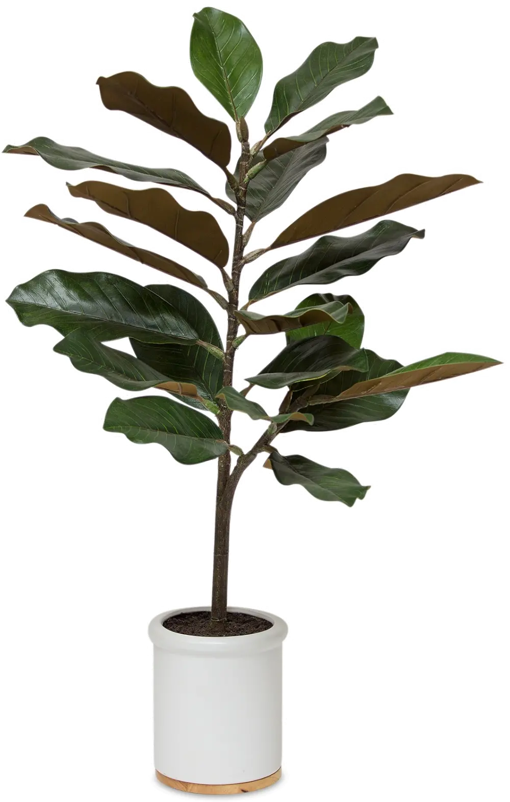 Potted 31 Inch Faux Magnolia Plant Arrangement-1