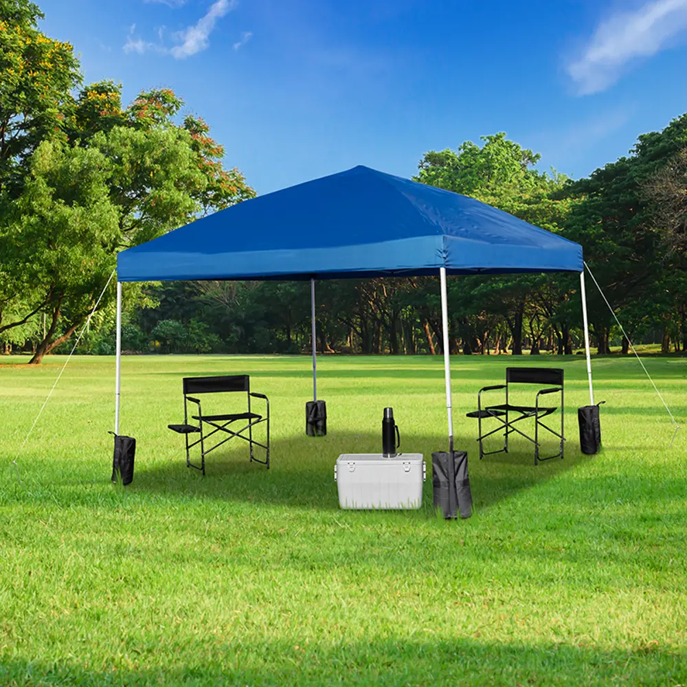 10' x 10' Blue Canopy Tent-1