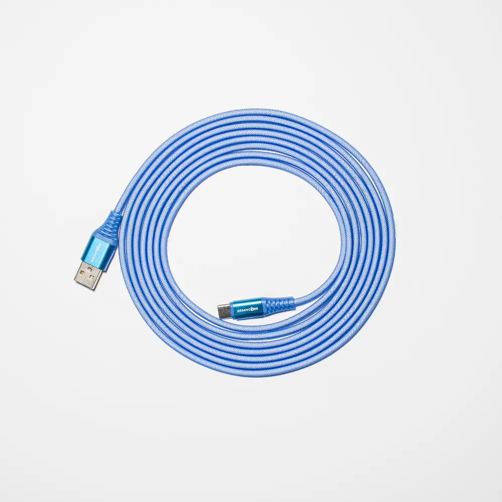Basan 10 Foot Type C to USB Charging Cable - Blue-1