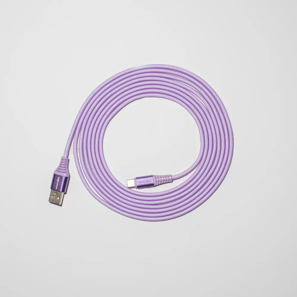 Basan 10 Foot Type C to USB Charging Cable - Purple-1