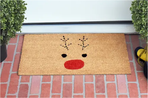 https://static.rcwilley.com/products/112423220/Rudolph-Doormat-rcwilley-image1~500.webp?r=5