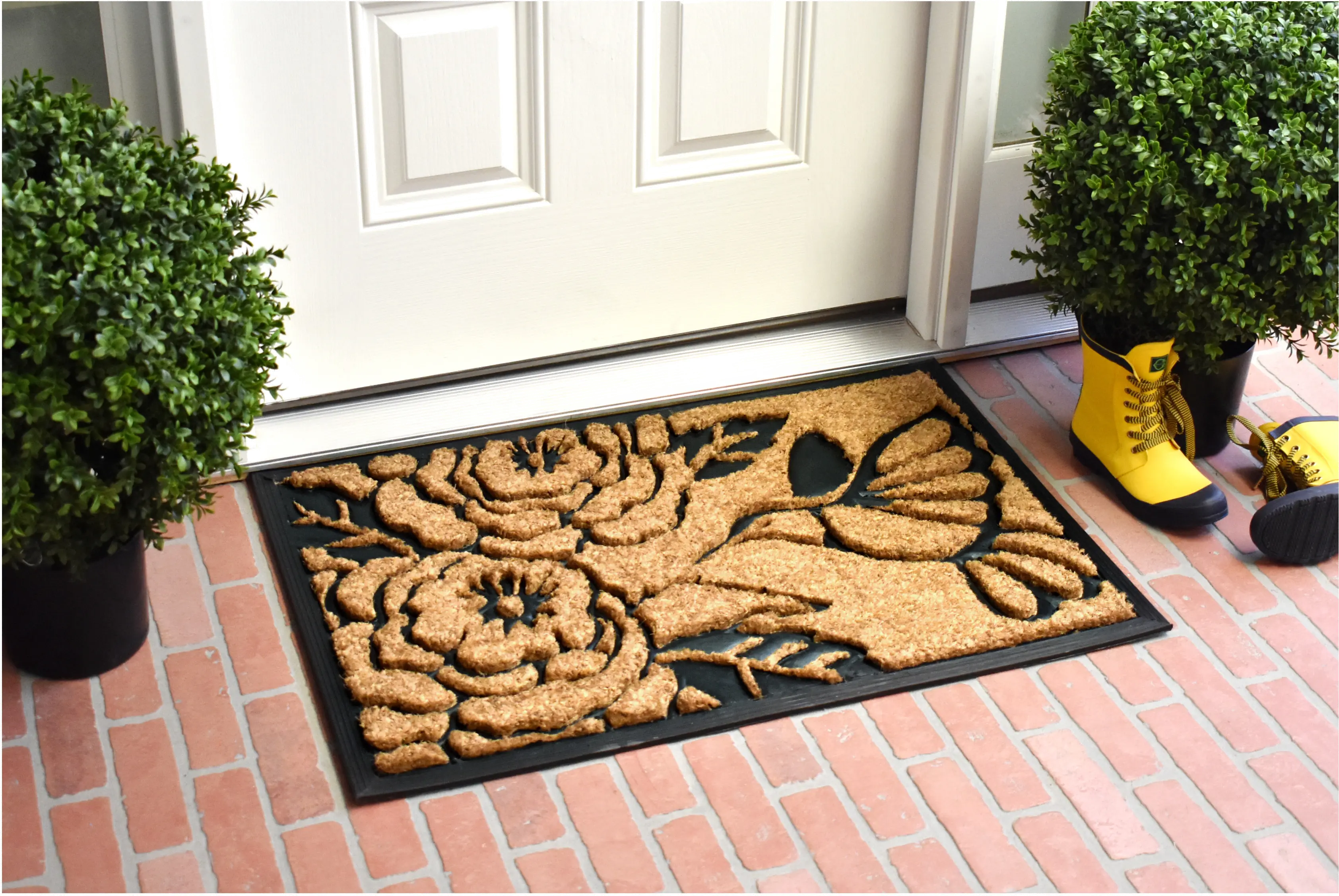 https://static.rcwilley.com/products/112425275/Hummingbird-Haven-Doormat-rcwilley-image1.webp