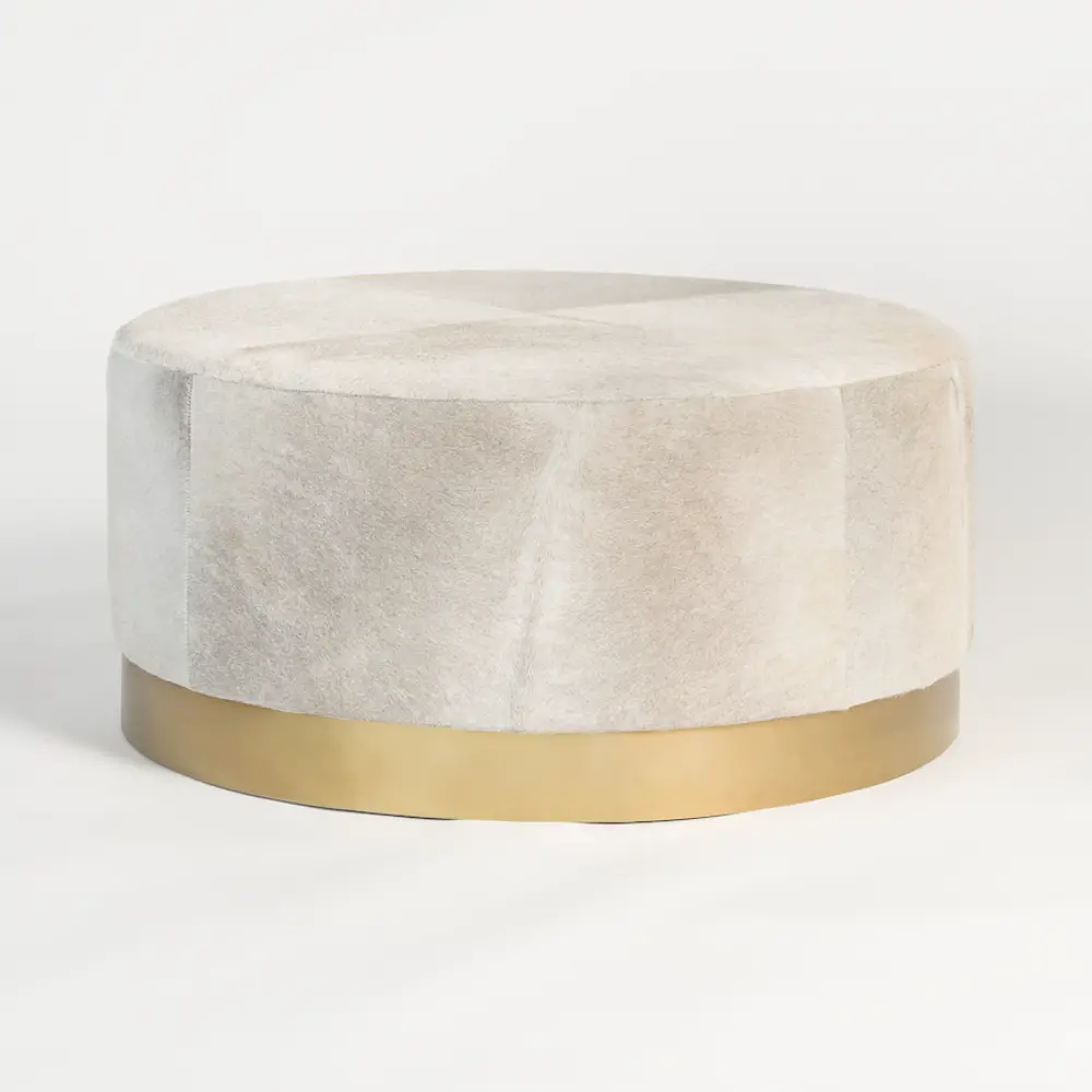 June Gold and Gray Hide Coffee Table-1