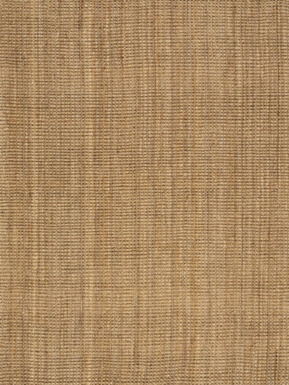 112470416 Naturals 5 x 8 Beige Area Rug sku 112470416