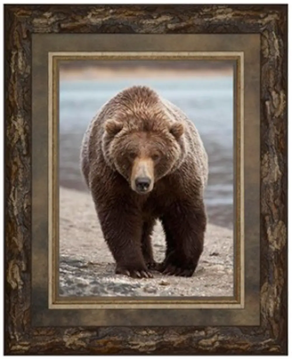 Grizzly Bear Framed Wall Art-1