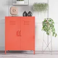 Cache Orange 2-Door Metal Locker
