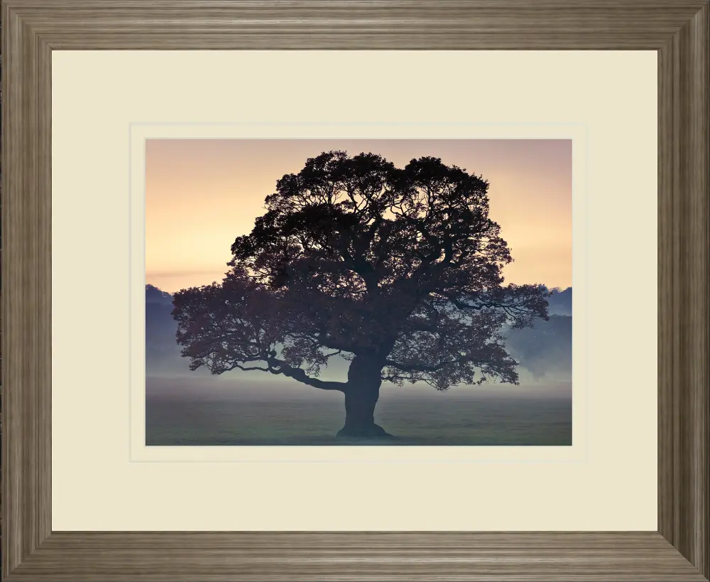 Evening Wisdom By Assaf Frank Framed Wall Art-1