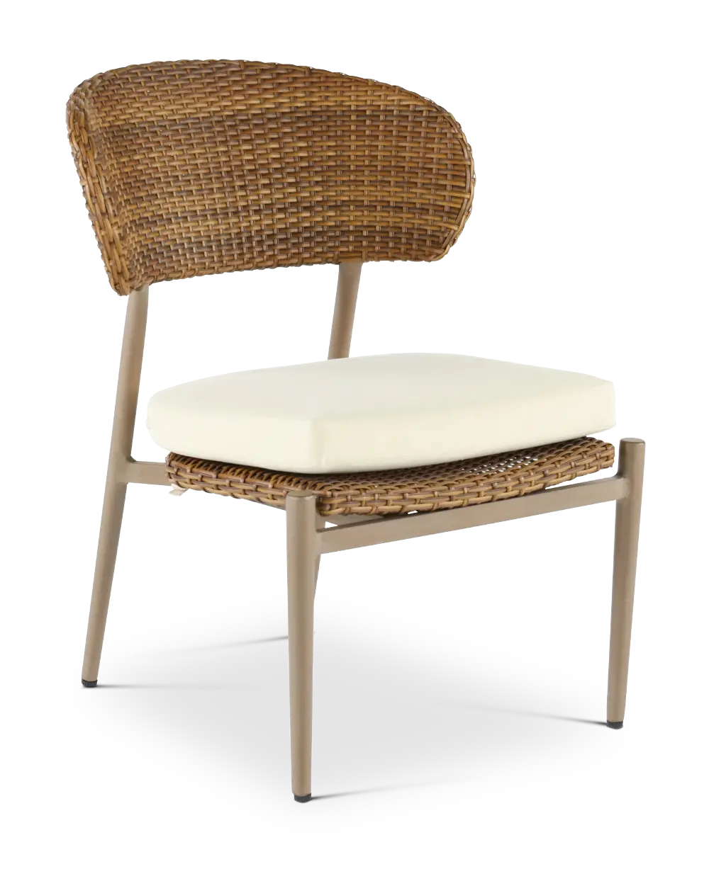 FG-SKVDCH Drew & Jonathan Home Skyview Brown Patio Dining Chair-1