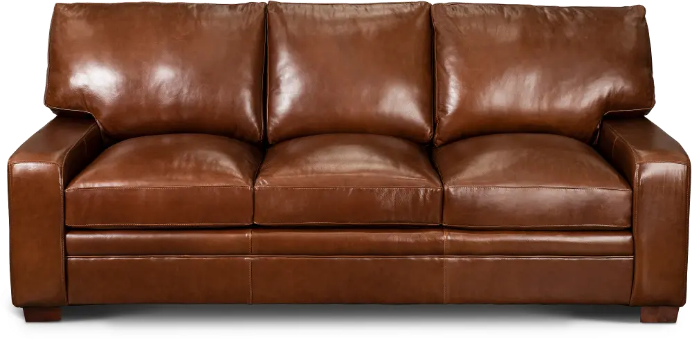 Anejo Brown Leather Sofa-1