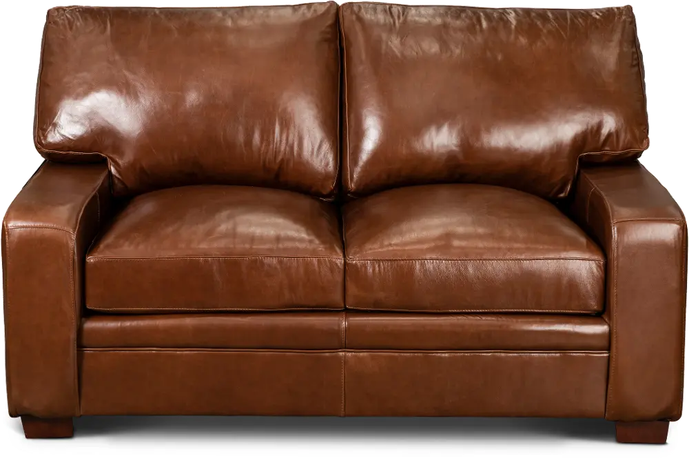 Anejo Brown Leather Loveseat-1
