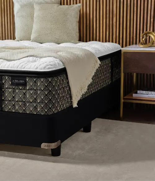 Aireloom Hayworth Plush Luxetop Queen Mattress | RC Willey Aireloom Hayworth Plush Luxetop Queen Mattress | RC Willey