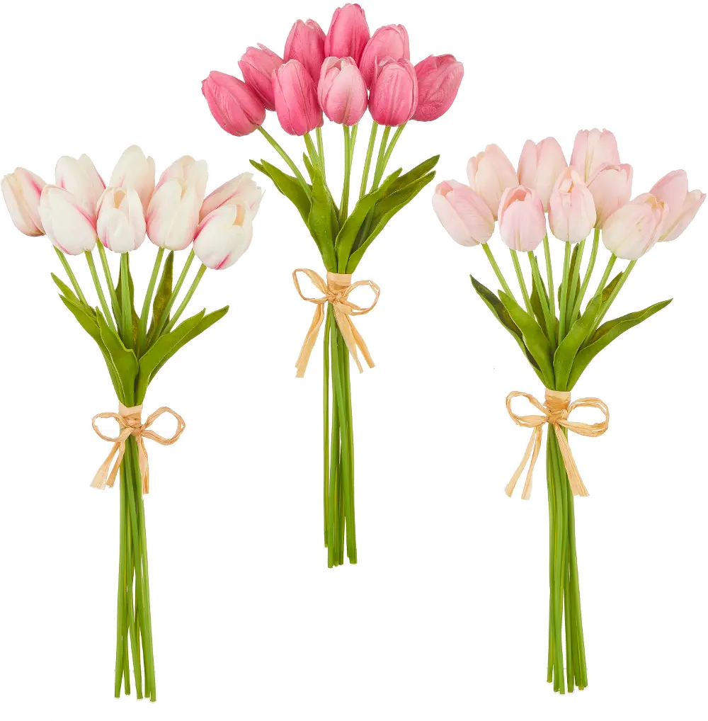 15  Tulip Bundle-1
