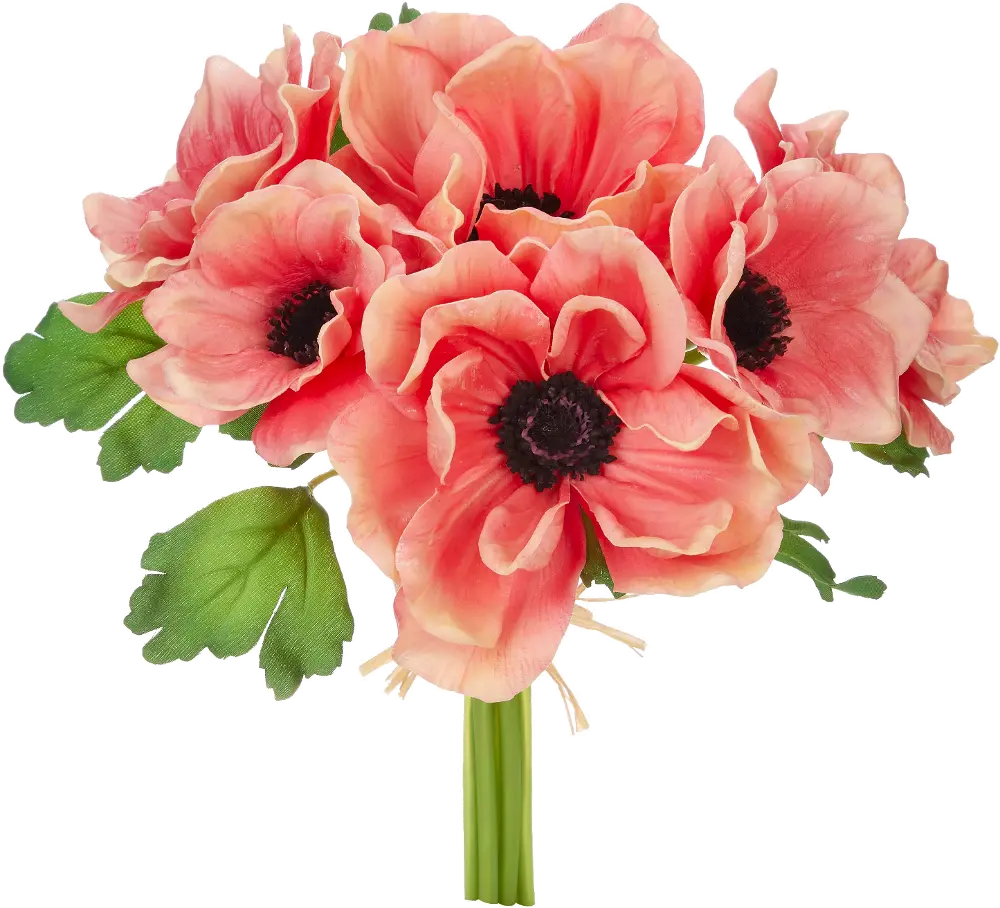 11.5  Coral Anemone Bundle-1