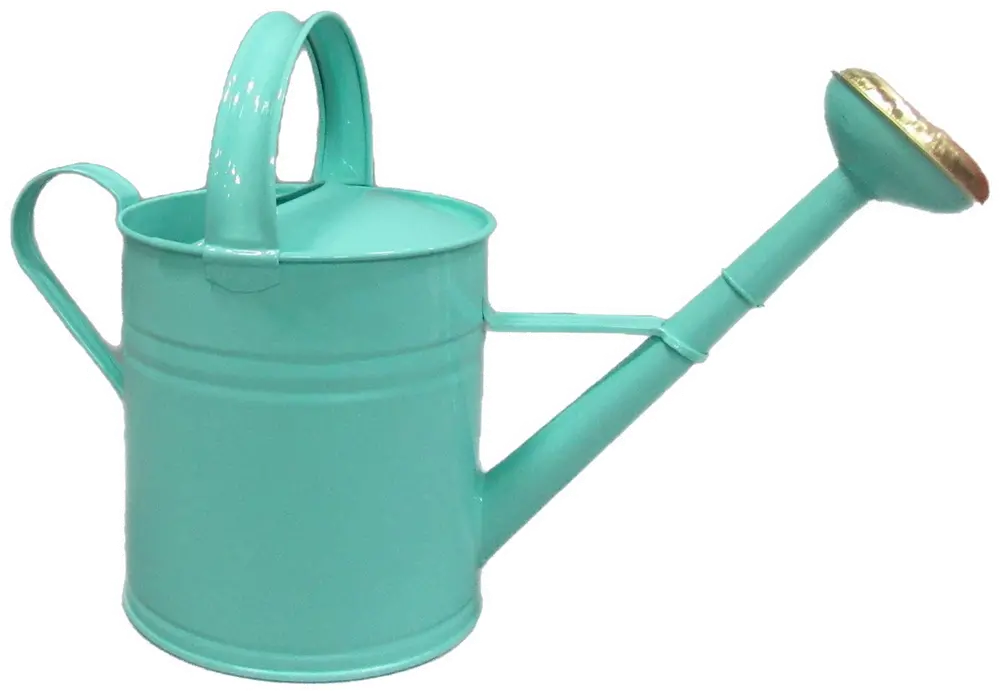 Farmhouse Charm Turquoise Watering Can-1