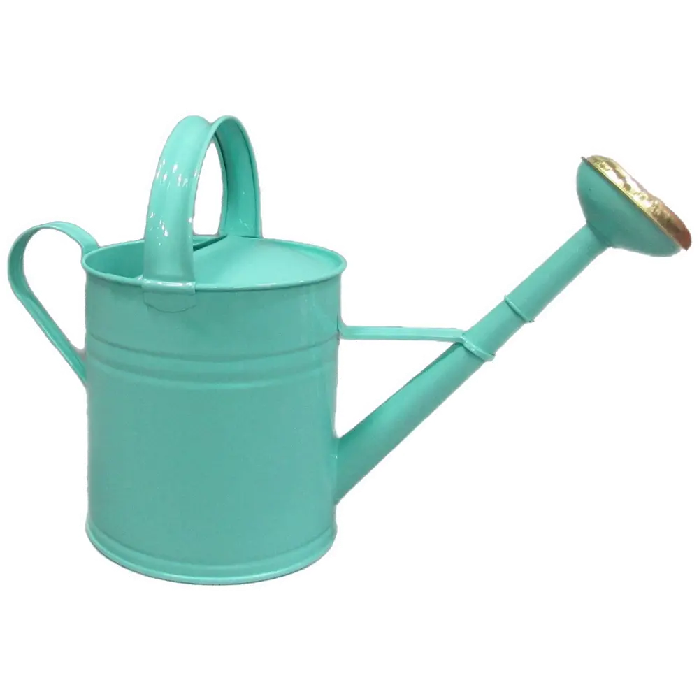 Farmhouse Charm Turquoise Watering Can-1