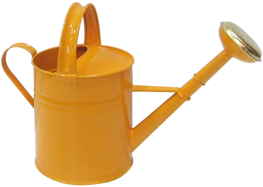 Farmhouse Charm Orange Watering Can-1