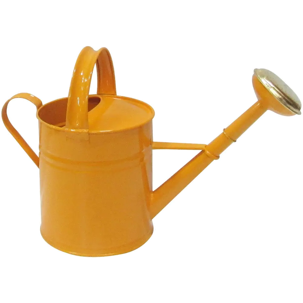 Farmhouse Charm Orange Watering Can-1