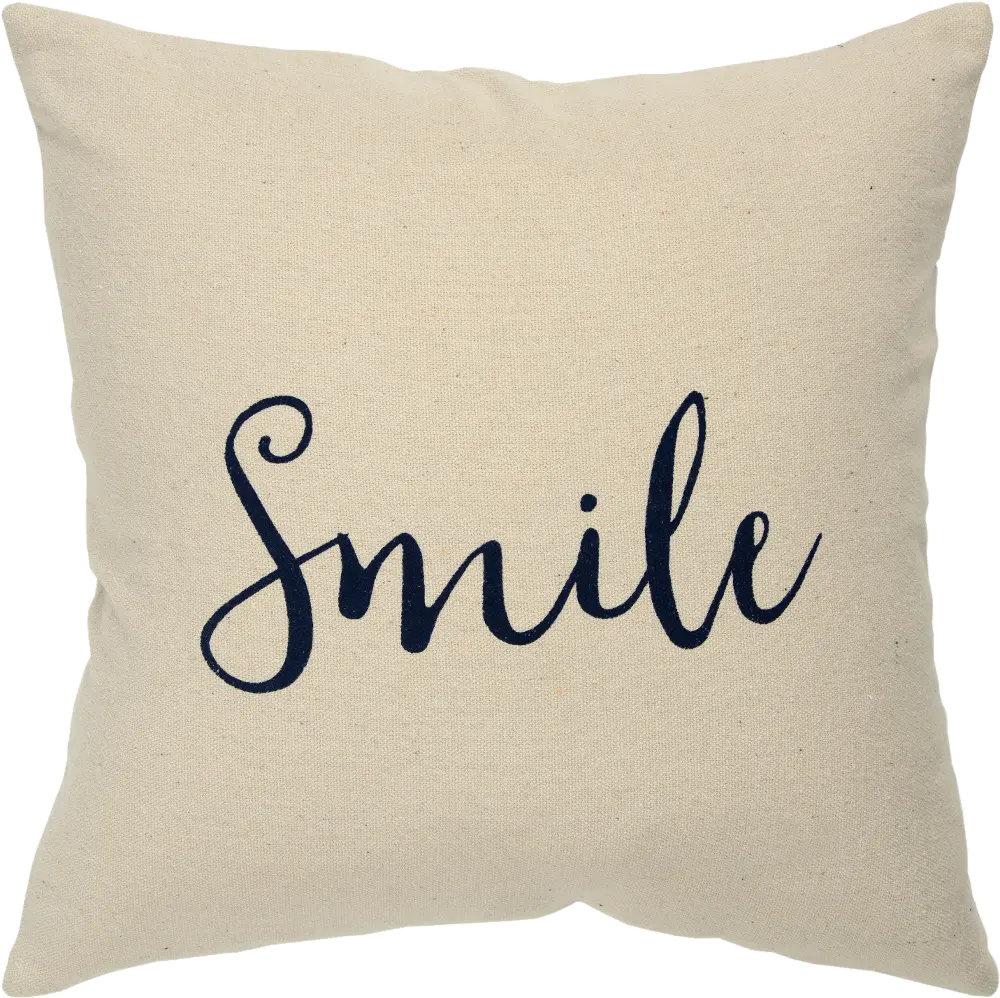 Script Neutral Accent Smile Pillow-1