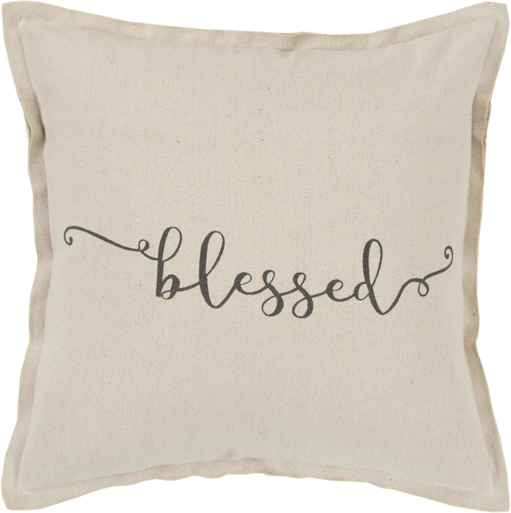 Script Neutral Accent Blessed Pillow-1