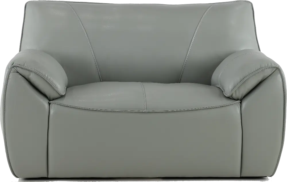 Caesar Gray Leather Chair-1